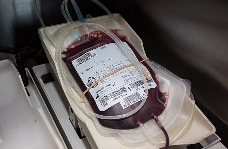 Zbiórka krwi w Żywcu