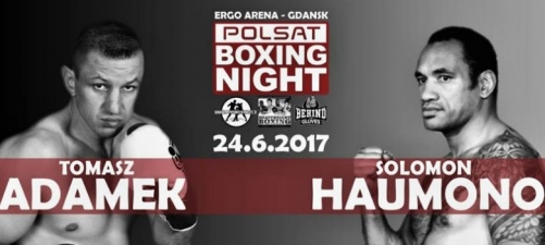 Tomek Adamek wraca na ring