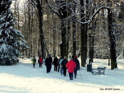 Seniorzy zimową porą