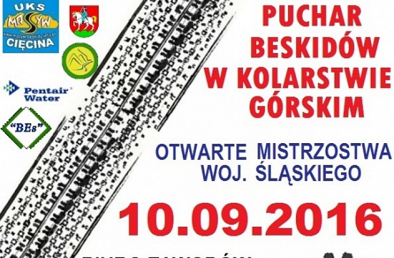 Mistrzostwa Województwa Śląskiego