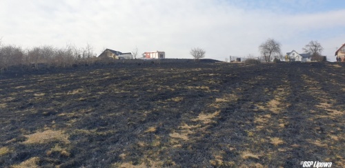 30 arów suchej trawy spłonęło w Lipowej