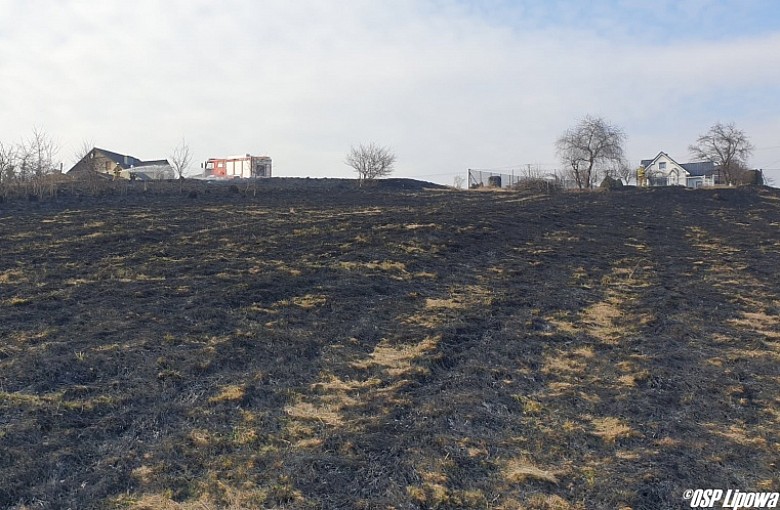 30 arów suchej trawy spłonęło w Lipowej