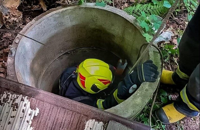 Mały kotek wpadł do szamba. Na pomoc ruszyli Strażacy