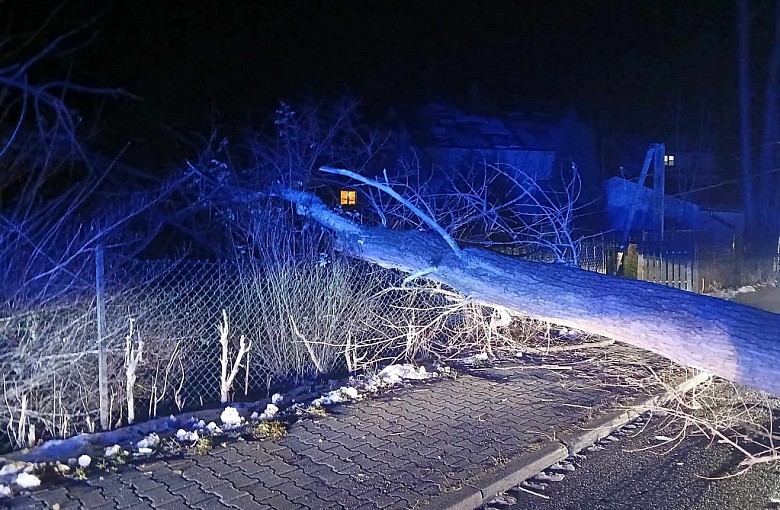 Milówka. Ogromne drzewo spadło na drogę