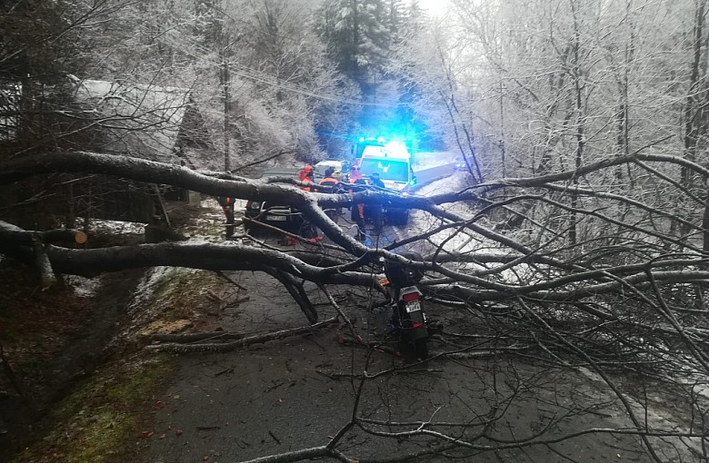 Drzewo spadło na motor. Dwie osoby zostały zabrane do szpitala