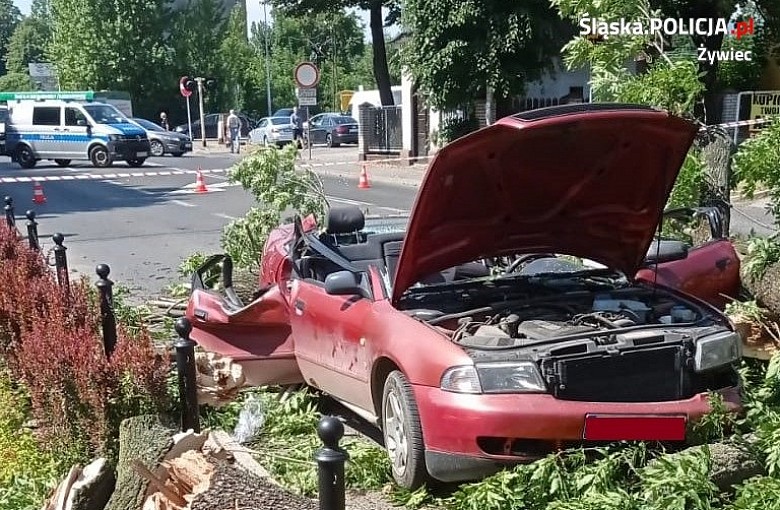 Żywiec. Drzewo przewróciło się na przejeżdżające audi. Dwie osoby trafiły do szpitala