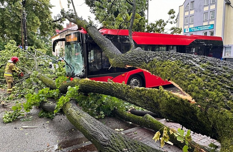 Drzewo spadło na autobus MZK. Są poszkodowani