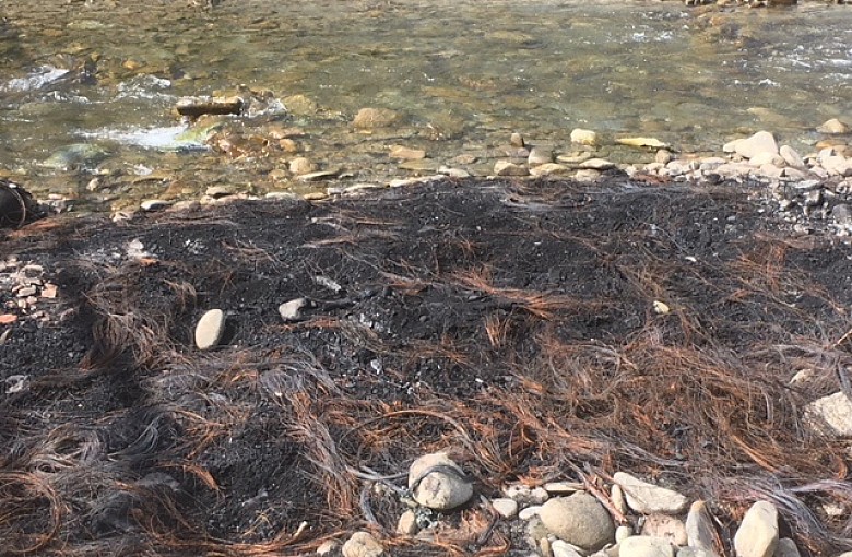Ktoś przy rzece spalił kilkadziesiąt opon!