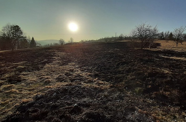 Pożar trawy w Soli. Jedna osoba poszkodowana