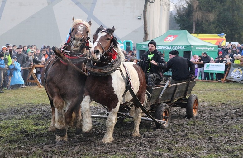 Zbliżają się XIV Zawodów Furmanów w Węgierskiej Górce