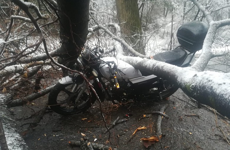 Drzewo spadło na motor. Dwie osoby zostały zabrane do szpitala