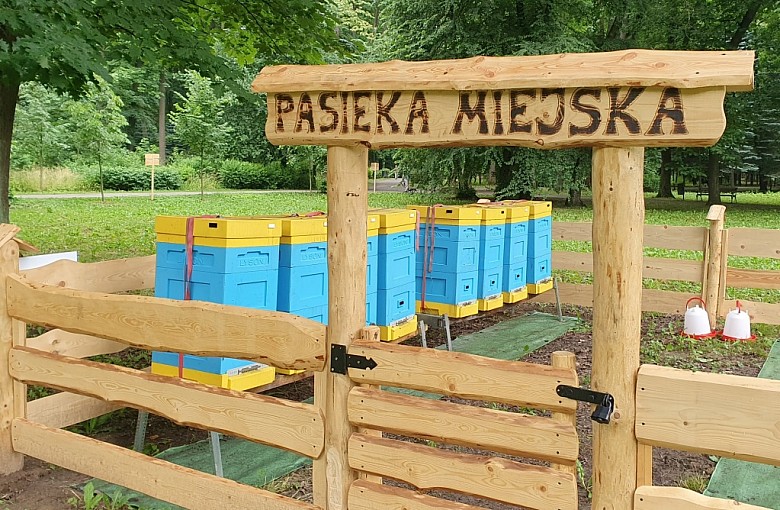 W Żywcu powstała Pasieka Miejska. Docelowo stanie 20 uli