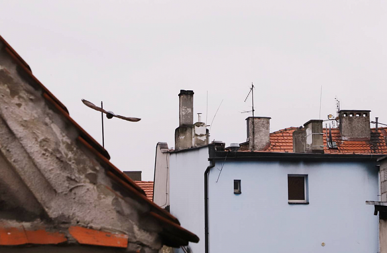 Ruszyła Centralna Ewidencja Emisyjności Budynków