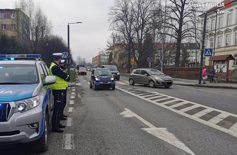 Żywiec. Kolejne działania Policji za nami